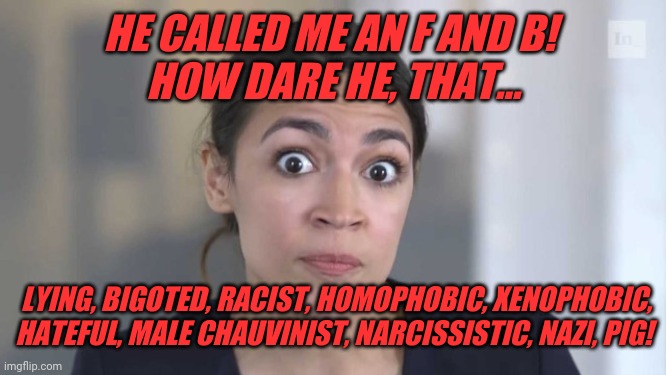 Crazy Alexandria Ocasio-Cortez | HE CALLED ME AN F AND B! 
HOW DARE HE, THAT... LYING, BIGOTED, RACIST, HOMOPHOBIC, XENOPHOBIC, HATEFUL, MALE CHAUVINIST, NARCISSISTIC, NAZI, PIG! | image tagged in crazy alexandria ocasio-cortez | made w/ Imgflip meme maker