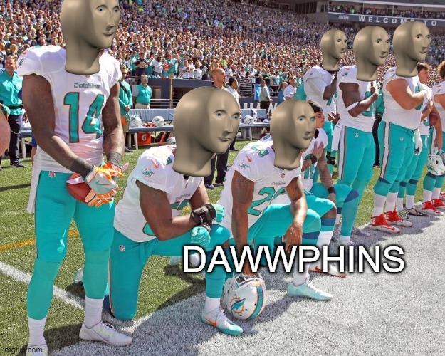 Miammuh Stonks | DAWWPHINS | image tagged in miami dolphins kneeling | made w/ Imgflip meme maker