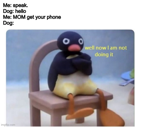 no | Me: speak.
Dog: hello
Me: MOM get your phone
Dog: | image tagged in blank white template,well now i am not doing it | made w/ Imgflip meme maker