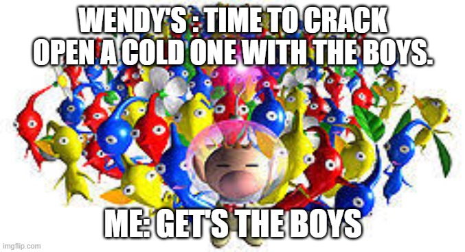 Wendy's Pikmin | WENDY'S : TIME TO CRACK OPEN A COLD ONE WITH THE BOYS. ME: GET'S THE BOYS | image tagged in pikmins | made w/ Imgflip meme maker