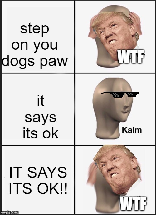 YOU STEP ON YOUR DOGS PAW | step on you dogs paw; WTF; it says its ok; IT SAYS ITS OK!! WTF | image tagged in memes,panik kalm panik | made w/ Imgflip meme maker