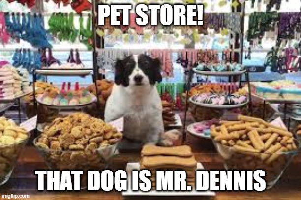 PET STORE! THAT DOG IS MR. DENNIS | made w/ Imgflip meme maker