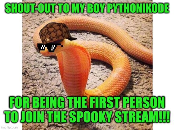 SHOUT-OUT TO MY BOY PYTHONIKODE; FOR BEING THE FIRST PERSON TO JOIN THE SPOOKY STREAM!!! | made w/ Imgflip meme maker