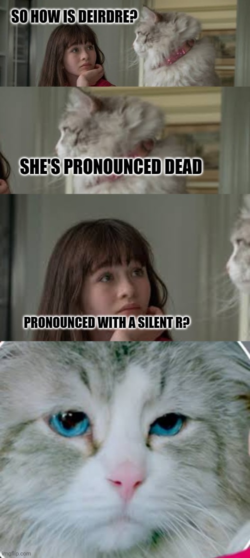 Deadly Chat | SO HOW IS DEIRDRE? SHE'S PRONOUNCED DEAD; PRONOUNCED WITH A SILENT R? | image tagged in cat,grumpy cat,dead,chat | made w/ Imgflip meme maker