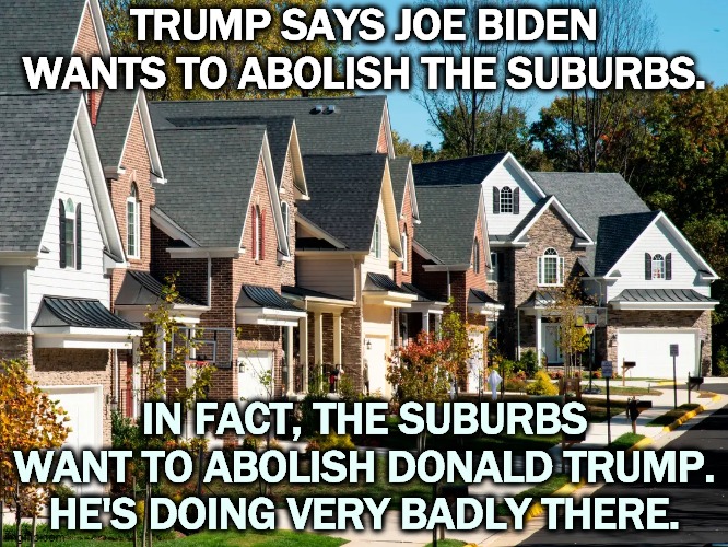 Trump is promising lily-white suburbs. He can't deliver on it and it's illegal. | TRUMP SAYS JOE BIDEN WANTS TO ABOLISH THE SUBURBS. IN FACT, THE SUBURBS WANT TO ABOLISH DONALD TRUMP. HE'S DOING VERY BADLY THERE. | image tagged in biden,strong,trump,weak,segregation,racism | made w/ Imgflip meme maker