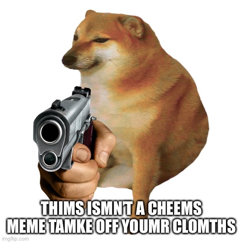 cheems | THIMS ISMN’T A CHEEMS MEME TAMKE OFF YOUMR CLOMTHS | image tagged in cheems | made w/ Imgflip meme maker