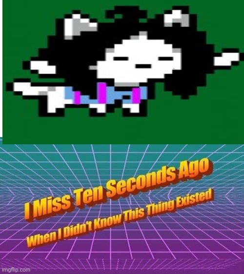 The heck happened to temmie? | image tagged in i miss ten seconds ago | made w/ Imgflip meme maker