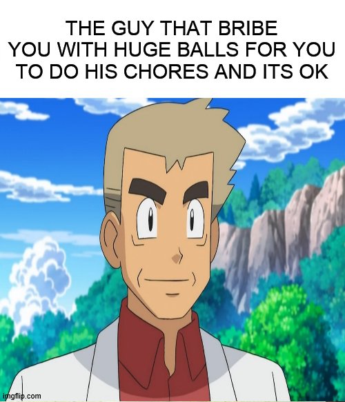 5 pokeballs to be exact | THE GUY THAT BRIBE YOU WITH HUGE BALLS FOR YOU TO DO HIS CHORES AND ITS OK | image tagged in you | made w/ Imgflip meme maker