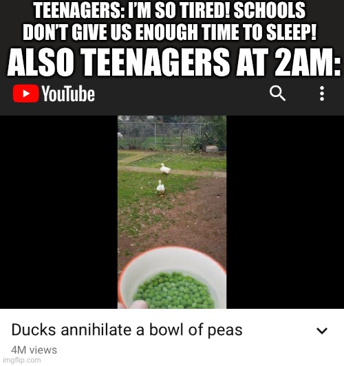 Interesting | TEENAGERS: I’M SO TIRED! SCHOOLS DON’T GIVE US ENOUGH TIME TO SLEEP! ALSO TEENAGERS AT 2AM: | image tagged in ducks,youtube,funny memes,memes,funny | made w/ Imgflip meme maker