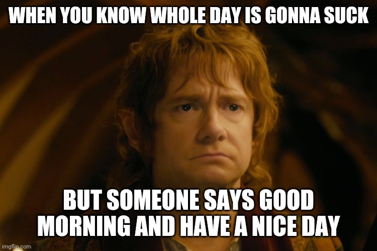 Bilbo Baggins Looking Frustrated | WHEN YOU KNOW WHOLE DAY IS GONNA SUCK; BUT SOMEONE SAYS GOOD MORNING AND HAVE A NICE DAY | image tagged in bilbo baggins looking frustrated | made w/ Imgflip meme maker
