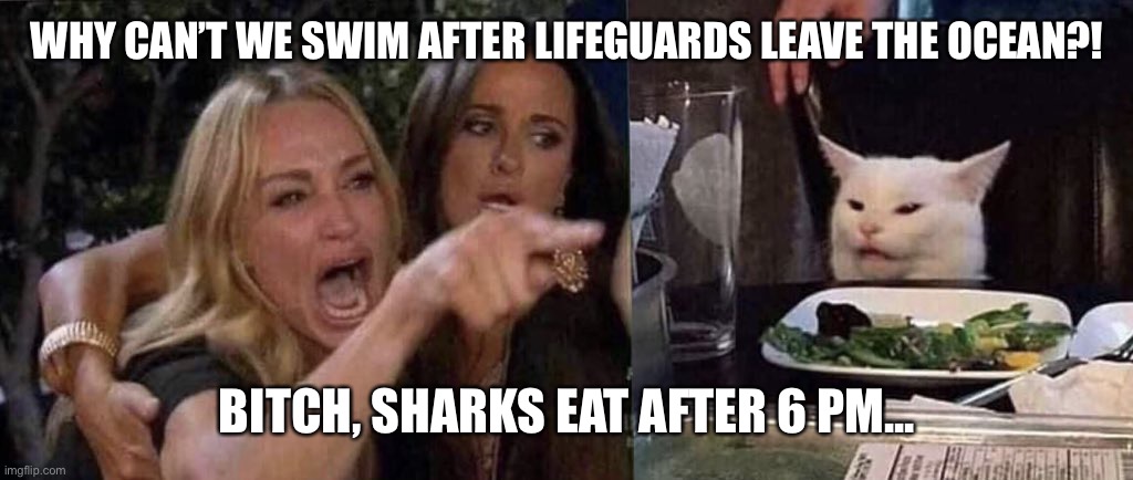 woman yelling at cat | WHY CAN’T WE SWIM AFTER LIFEGUARDS LEAVE THE OCEAN?! BITCH, SHARKS EAT AFTER 6 PM... | image tagged in woman yelling at cat | made w/ Imgflip meme maker