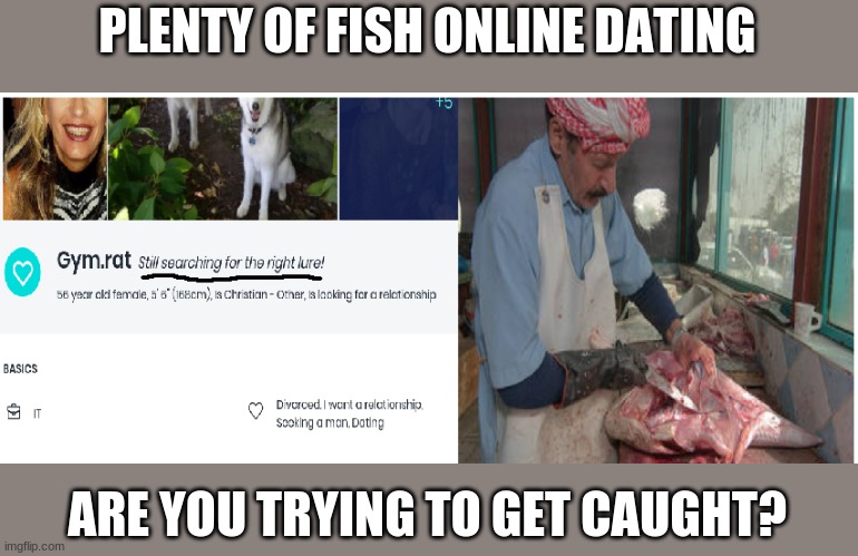 POF Internet Dating | PLENTY OF FISH ONLINE DATING; ARE YOU TRYING TO GET CAUGHT? | image tagged in internet dating | made w/ Imgflip meme maker