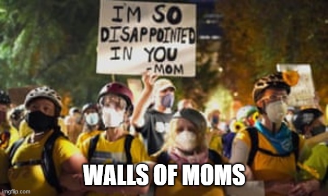 Federal Goons Attack Moms | WALLS OF MOMS | image tagged in wall of moms,shame,shame on you,peaceful protests,fascists,trump equals death | made w/ Imgflip meme maker