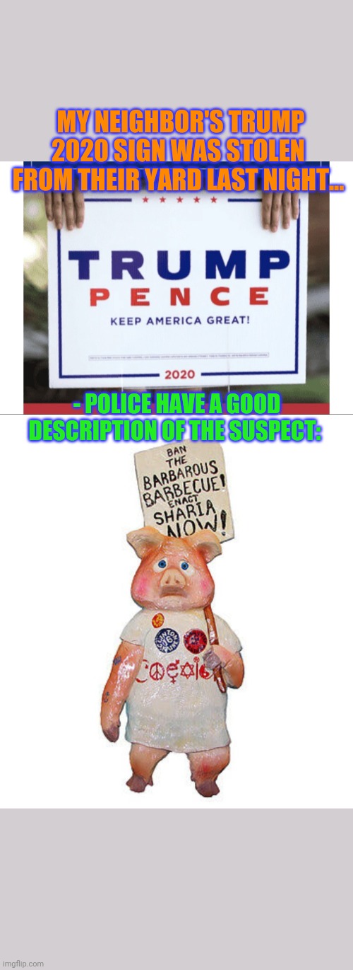 Dim-Wit TDS'ers- I wonder what they're afraid of? | MY NEIGHBOR'S TRUMP 2020 SIGN WAS STOLEN FROM THEIR YARD LAST NIGHT... - POLICE HAVE A GOOD DESCRIPTION OF THE SUSPECT: | image tagged in stupid liberals | made w/ Imgflip meme maker