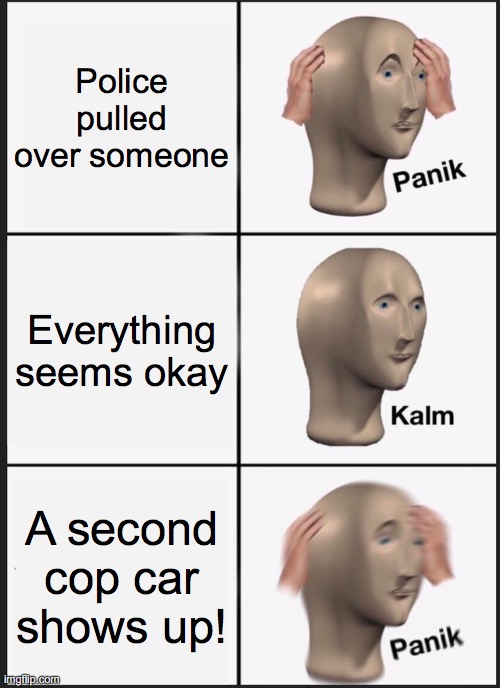 I literally saw this happen today! | Police pulled over someone; Everything seems okay; A second cop car shows up! | image tagged in memes,panik kalm panik,cops,pulled over | made w/ Imgflip meme maker