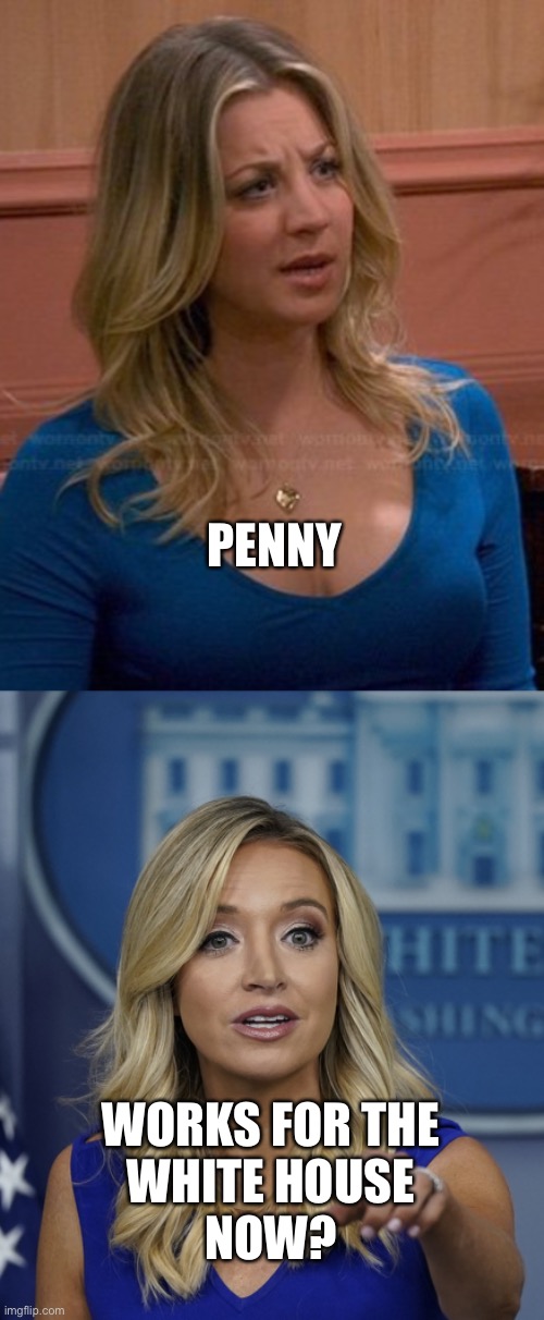 Penny? | PENNY; WORKS FOR THE
WHITE HOUSE
NOW? | image tagged in big bang theory,white house,the big bang theory,penny,twins,kayleigh mcenany | made w/ Imgflip meme maker