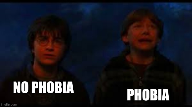 NO PHOBIA PHOBIA | made w/ Imgflip meme maker