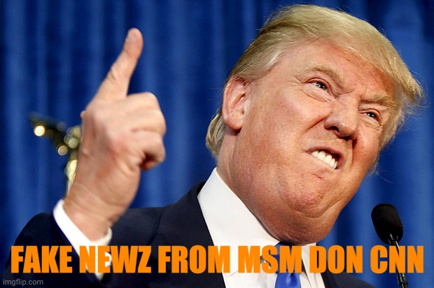 Donald Trump | FAKE NEWZ FROM MSM DON CNN | image tagged in donald trump | made w/ Imgflip meme maker