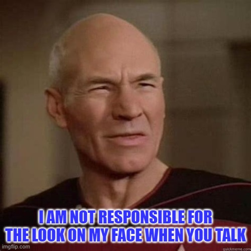 Picard Face | I AM NOT RESPONSIBLE FOR THE LOOK ON MY FACE WHEN YOU TALK | image tagged in stupid,facebook | made w/ Imgflip meme maker