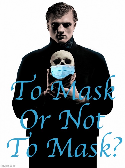 To Mask Or Not To Mask | image tagged in to mask or not to mask | made w/ Imgflip meme maker