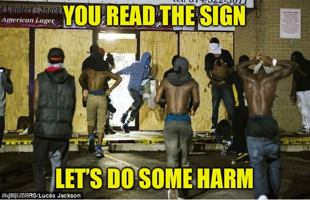 black looters | YOU READ THE SIGN LET’S DO SOME HARM | image tagged in black looters | made w/ Imgflip meme maker