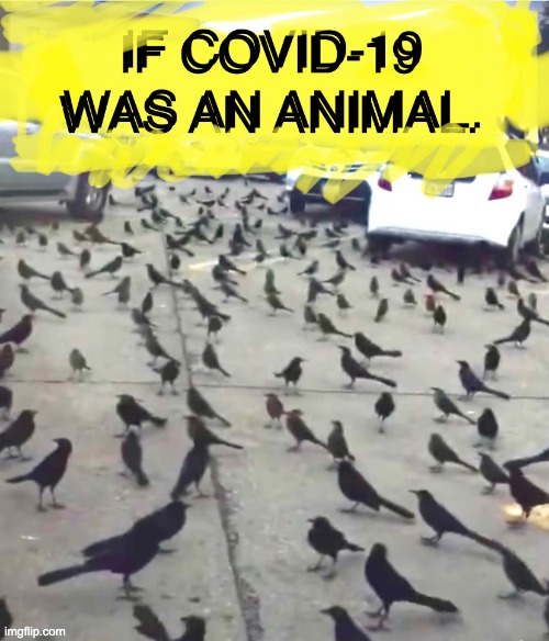 if covid-19 was an animal | image tagged in if covid-19 was an animal | made w/ Imgflip meme maker