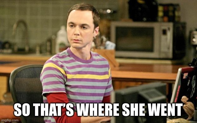Sheldon Big Bang Theory  | SO THAT’S WHERE SHE WENT | image tagged in sheldon big bang theory | made w/ Imgflip meme maker