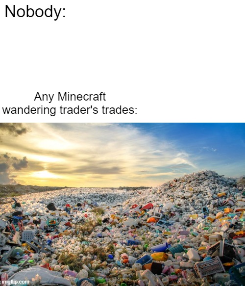 wandering traders be like |  Nobody:; Any Minecraft wandering trader's trades: | image tagged in trash | made w/ Imgflip meme maker