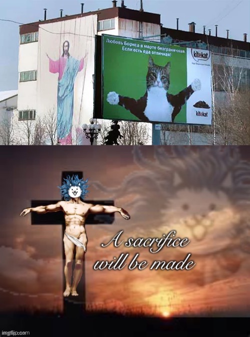 You had.... one JOB!! | image tagged in a sacrifice will be made god cat,memes,funny,jesus,cats,you had one job | made w/ Imgflip meme maker