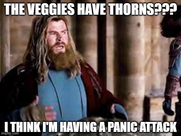 thor i think i'm having a panic attack | THE VEGGIES HAVE THORNS??? I THINK I'M HAVING A PANIC ATTACK | image tagged in thor i think i'm having a panic attack | made w/ Imgflip meme maker