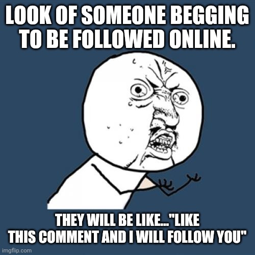 Begging for following | LOOK OF SOMEONE BEGGING TO BE FOLLOWED ONLINE. THEY WILL BE LIKE..."LIKE THIS COMMENT AND I WILL FOLLOW YOU" | image tagged in memes,y u no | made w/ Imgflip meme maker