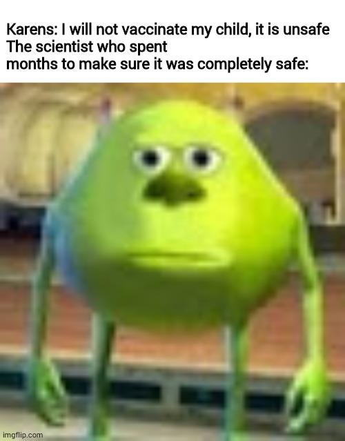 Karens: I will not vaccinate my child, it is unsafe
The scientist who spent months to make sure it was completely safe: | image tagged in blank white template,sully wazowski | made w/ Imgflip meme maker