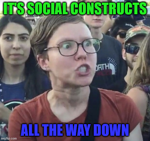 Triggered feminist | IT'S SOCIAL CONSTRUCTS; ALL THE WAY DOWN | image tagged in triggered feminist,leftist,liberal,social | made w/ Imgflip meme maker
