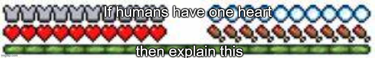 Minecraft health | If humans have one heart; then explain this | image tagged in minecraft health | made w/ Imgflip meme maker