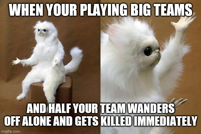 Persian Cat Room Guardian Meme | WHEN YOUR PLAYING BIG TEAMS; AND HALF YOUR TEAM WANDERS OFF ALONE AND GETS KILLED IMMEDIATELY | image tagged in memes,persian cat room guardian,Zooba | made w/ Imgflip meme maker
