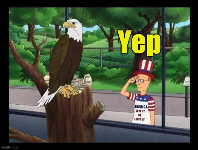 dale gribble eagle | Yep | image tagged in dale gribble eagle | made w/ Imgflip meme maker