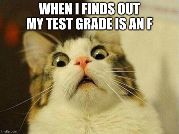 Scared Cat Meme | WHEN I FINDS OUT MY TEST GRADE IS AN F | image tagged in memes,scared cat | made w/ Imgflip meme maker