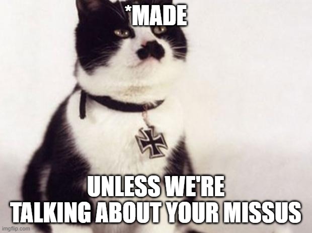 Nazi cat | *MADE; UNLESS WE'RE TALKING ABOUT YOUR MISSUS | image tagged in nazi cat,grammar nazi cat,cat memes,grammar nazi,cat meme,nazis | made w/ Imgflip meme maker