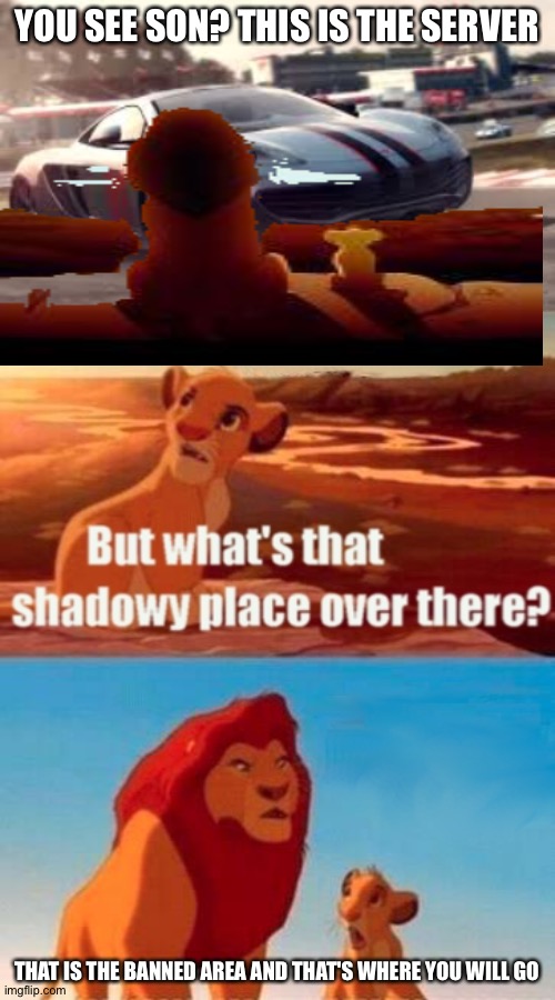 Pls don't ban me!!!!!!! | YOU SEE SON? THIS IS THE SERVER; THAT IS THE BANNED AREA AND THAT'S WHERE YOU WILL GO | image tagged in memes,simba shadowy place,mclaren 12c,funny,gaming,server | made w/ Imgflip meme maker