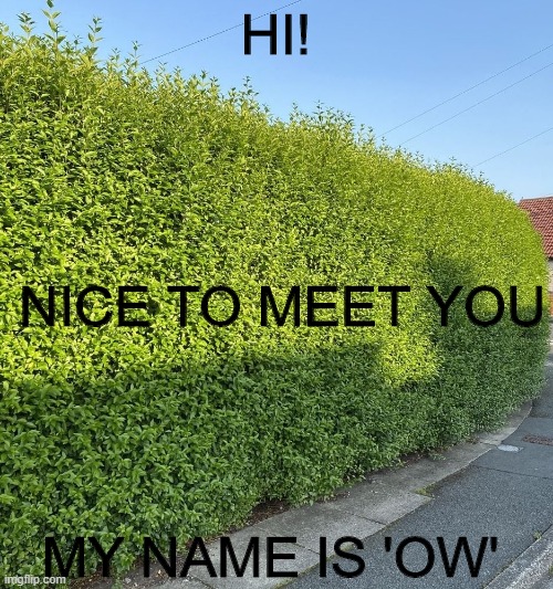 HI! MY NAME IS 'OW' NICE TO MEET YOU | made w/ Imgflip meme maker