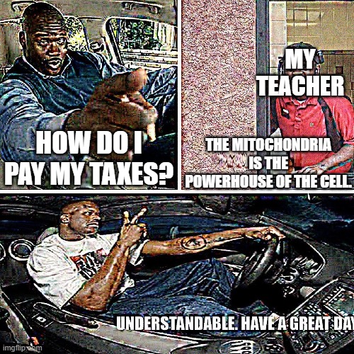 Mitochondria | MY TEACHER; THE MITOCHONDRIA IS THE POWERHOUSE OF THE CELL. HOW DO I PAY MY TAXES? | image tagged in understandable have a great day,school,unhelpful high school teacher,memes,school meme,taxes | made w/ Imgflip meme maker