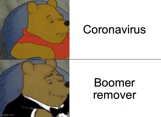 Tuxedo Winnie the Pooh | Coronavirus; Boomer remover | image tagged in memes,tuxedo winnie the pooh,coronavirus,quarantine,funny | made w/ Imgflip meme maker