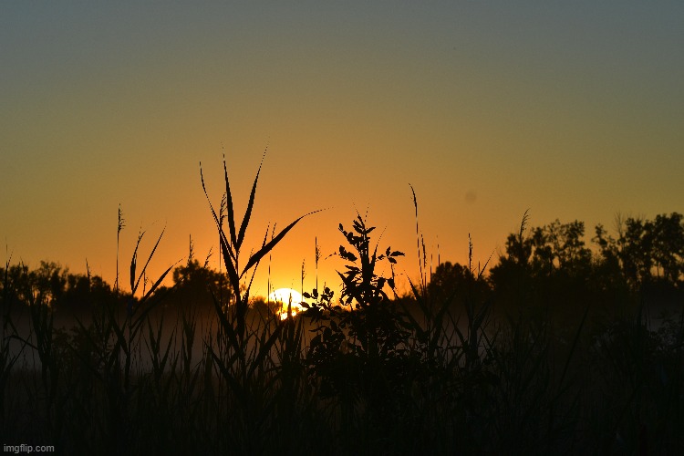 sunrise | image tagged in sunrise,photos | made w/ Imgflip meme maker
