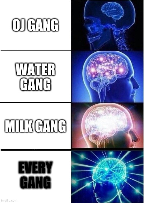 Scale of DANI (also OJ gang being the first one is not an insult to anyone) | OJ GANG; WATER GANG; MILK GANG; EVERY GANG | image tagged in memes,expanding brain | made w/ Imgflip meme maker