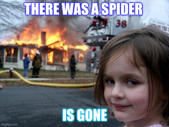 Disaster Girl Meme | THERE WAS A SPIDER; IS GONE | image tagged in memes,disaster girl | made w/ Imgflip meme maker