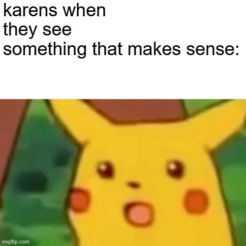 geez karen | karens when they see something that makes sense: | image tagged in memes,surprised pikachu | made w/ Imgflip meme maker