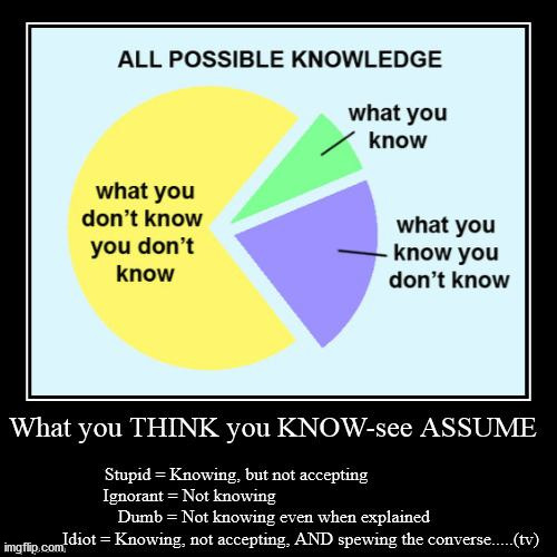 Knowledge is KNOWING you KNOW | image tagged in ignorant,stupid,idiot,dumb,knowing | made w/ Imgflip meme maker
