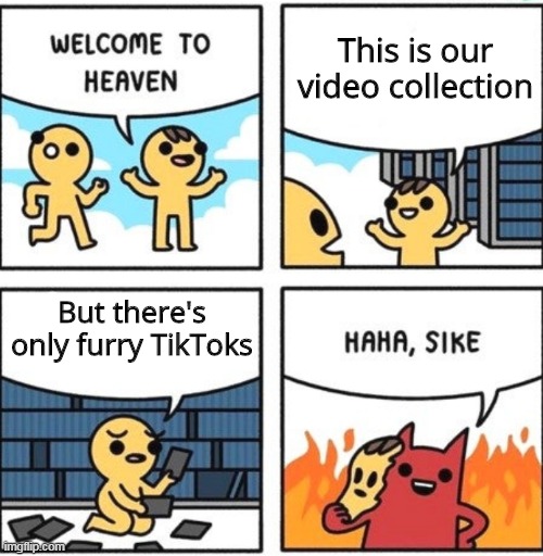That's sad | This is our video collection; But there's only furry TikToks | image tagged in welcome to heaven,furry,tiktok | made w/ Imgflip meme maker