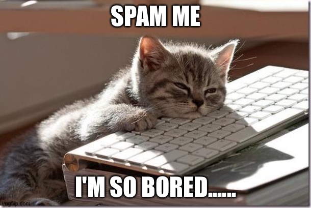 Bored Keyboard Cat | SPAM ME; I'M SO BORED...... | image tagged in bored keyboard cat | made w/ Imgflip meme maker