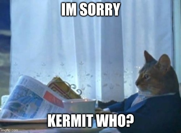 I Should Buy A Boat Cat Meme | IM SORRY; KERMIT WHO? | image tagged in memes,i should buy a boat cat | made w/ Imgflip meme maker